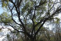 Recreational Property for sale in Hamilton County, Texas