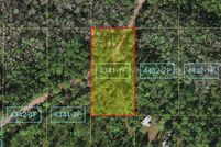 Hunting Property for sale in Osceola County, Florida