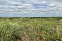 Land in Cottle County, Texas