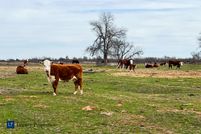 Farm and Ranch in Wilbarger County, Texas