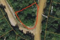 Undeveloped Land in Leon County, Texas