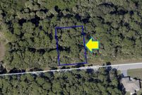 Undeveloped Land in Brevard County, Florida