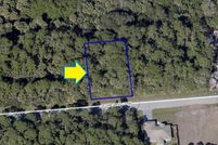 Undeveloped Land in Brevard County, Florida