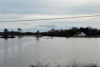 Land for sale in Sabine Parish, Louisiana