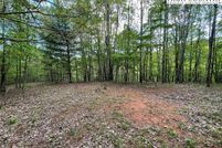 Timberland Property for sale in Ashe County, North Carolina