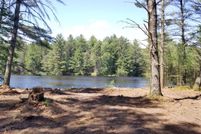 Undeveloped Land in Jackson County, Wisconsin
