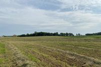 Land in Douglas County, Minnesota