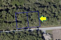 Undeveloped Land in Brevard County, Florida