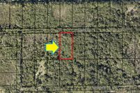 Undeveloped Land in Brevard County, Florida