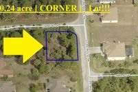 Undeveloped Land in Brevard County, Florida
