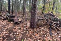 Undeveloped Land in Kalkaska County, Michigan