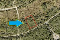 Undeveloped Land in Brevard County, Florida