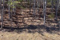 Homesite for sale in DeKalb County, Alabama