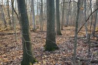 Land for sale in Saginaw County, Michigan