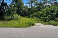 Undeveloped Land for sale in Pasco County, Florida