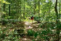 Timberland Property for sale in Cumberland County, New Jersey