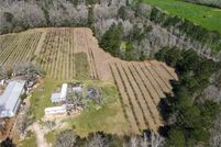 Timberland Property for sale in Washington Parish, Louisiana