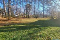 Undeveloped Land for sale in Etowah County, Alabama