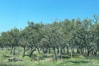 Farm and Ranch in Gillespie County, Texas