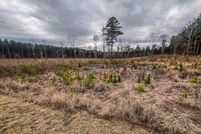 Land for sale in Lincoln County, Georgia