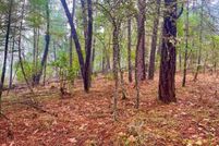 Undeveloped Land in Josephine County, Oregon