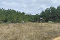 Land for sale in Dallas County, Arkansas