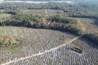 Recreational Property for sale in McIntosh County, Georgia