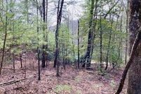 Undeveloped Land for sale in Union County, Georgia