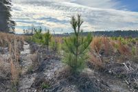 Undeveloped Land for sale in Dorchester County, South Carolina