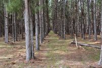 Farm and Ranch for sale in Clarendon County, South Carolina