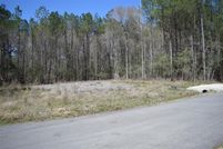 Undeveloped Land in Montgomery County, Texas