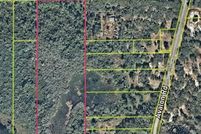 Timberland Property for sale in Orange County, Florida