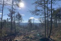 Undeveloped Land for sale in Cheshire County, New Hampshire