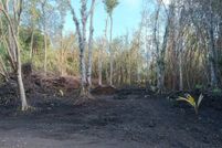 Undeveloped Land in Hawaii County, Hawaii