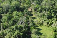 Undeveloped Land in Waller County, Texas