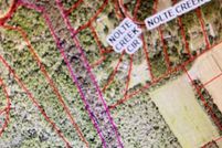 Land for sale in Baldwin County, Alabama