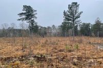 Undeveloped Land in Newberry County, South Carolina