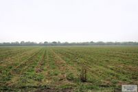 Undeveloped Land for sale in Cameron County, Texas