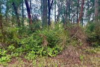 Undeveloped Land in Pierce County, Washington