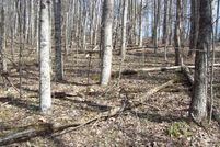 Recreational Property for sale in Hancock County, Tennessee