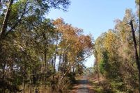 Undeveloped Land in San Jacinto County, Texas