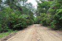 Undeveloped Land in Grimes County, Texas