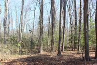 Undeveloped Land for sale in Accomack County, Virginia