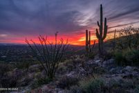 Undeveloped Land for sale in Pima County, Arizona