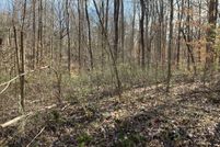 Undeveloped Land for sale in Allen County, Kentucky