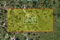 Land for sale in Osceola County, Florida