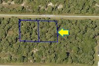 Undeveloped Land in Brevard County, Florida