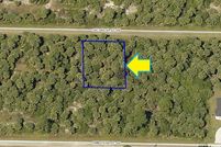 Undeveloped Land in Brevard County, Florida