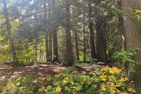 Undeveloped Land in Skagit County, Washington
