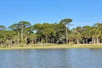 Undeveloped Land for sale in Levy County, Florida